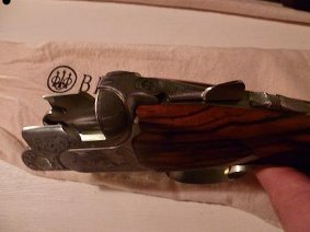 Magnifique Beretta DT10 L