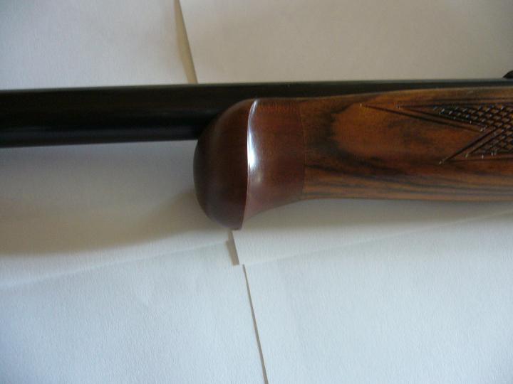 Tulipe