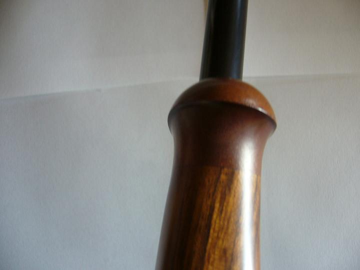 Tulipe